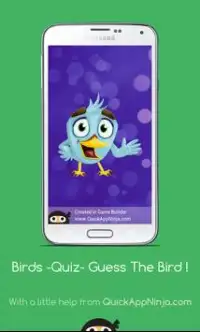Bird World - Quiz - Guess The Bird ! Screen Shot 4