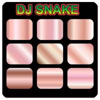 DJ Snake Launchpad