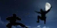 Amazing shadow ninja fight Screen Shot 2