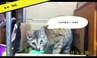 Paper Bag MOMO 2 (cat app) Screen Shot 5