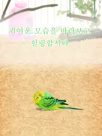 힐링의 잉꼬 육성 게임 Screen Shot 8