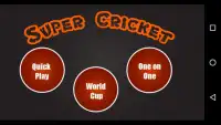 Cricket Super Screen Shot 4