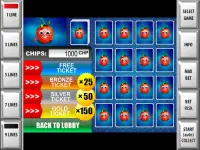 Slot machines Strawberry Slots Screen Shot 15