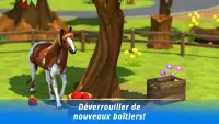 Horse Hotel - le jeu des amoureux des chevaux Screen Shot 2