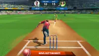 Cricket League Screen Shot 2