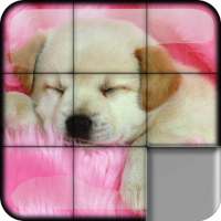 Sliding Puzzle Dogs & Puppies