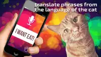 Talking Cat Translator PRO Screen Shot 1