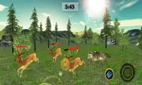 Angry Wolf Jungle 3D Screen Shot 4