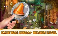 Hidden Object Games Free : Detective of Lost Lands Screen Shot 3