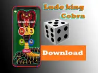 Ludo King Cobra Screen Shot 2