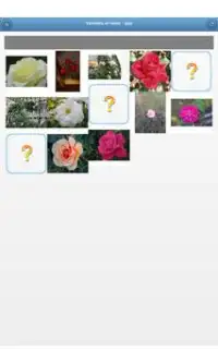 Varieties of roses - quiz Screen Shot 4