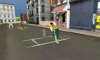 Street Cricket Screen Shot 1