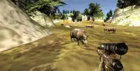 Wild Animals Hunter Sniper Shooting Missions Screen Shot 4