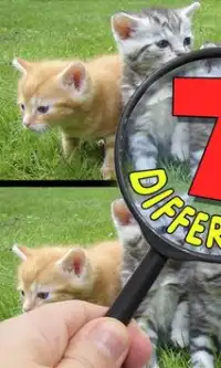 Find the Differences Puzzle Games – Brain Teasers Screen Shot 0