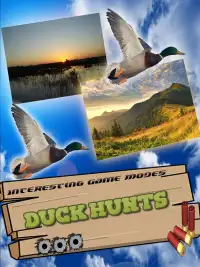 Duck Hunting Adventure Season: Waterfowl Hunting Screen Shot 1