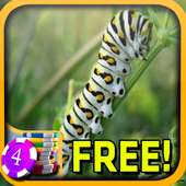 Caterpillar Slots - Free