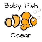 Baby Fish - Ocean