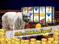 Vegas Tiger Casino Slots 777 Screen Shot 2