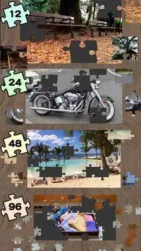 Jigsaw Puzzle 360 Free Screen Shot 3