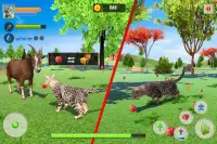 Cat Family Simulator: Life of Wild Cat Screen Shot 7