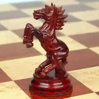 Chess Board Game Screen Shot 3