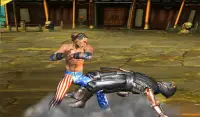 Ninja Deadly Kung Fu Fighting Tiger Game Screen Shot 9