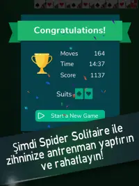 Spider Solitaire -  Solitaire Oyunları Screen Shot 15