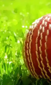 Free Cricket Games Screen Shot 1