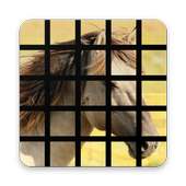 Horse Tiles a Jigsaw Puzzles Game