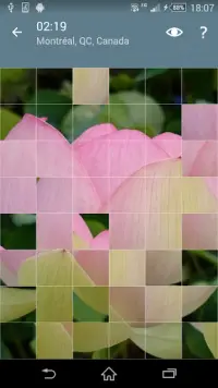 Rompecabezas: Flores Screen Shot 6