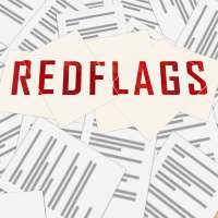 Red Flags - Accounting Game