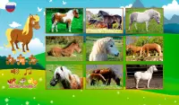 Pony puzzles Screen Shot 1