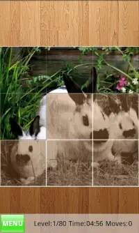 Rabbits Jigsaw Puzzles Screen Shot 0