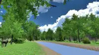 VR Forest Exploration Screen Shot 5
