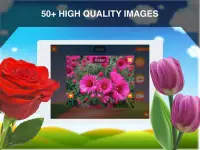 Fleur Cartes Flash Screen Shot 6