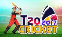 T20 Cricket 2017 Screen Shot 0