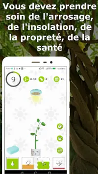 Arbre chanceux - plante ton propre arbre Screen Shot 0