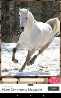 Pony Horse Game Puzzle Screen Shot 11