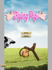 Flying Pigs Screen Shot 5