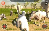 Leopard Game 3D - Симулятор для животных Safari Screen Shot 20