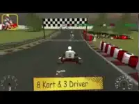 Kart Race Screen Shot 0