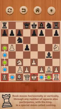 Chess Game Screen Shot 2