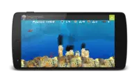 Wonder Fish Juegos Gratis HD Screen Shot 1