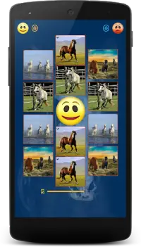 Horses memory game - beautiful photos of horses Screen Shot 1