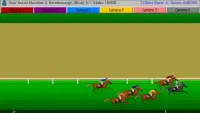 Flat Race Horse Racing Screen Shot 7