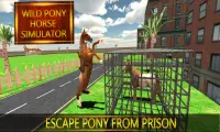 Wild Pony Horse Simulator 3D Screen Shot 2