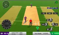 Cricket Match Pakistan League Screen Shot 13