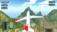 Flight Simulator : Fly 3D Screen Shot 2