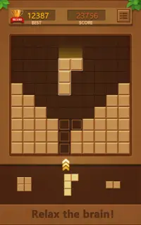 Block puzzle-Puzzle Games Screen Shot 12