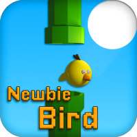 Newbie Bird